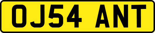 OJ54ANT