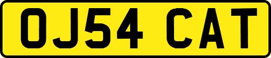 OJ54CAT