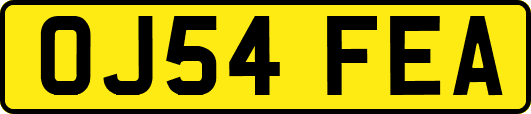 OJ54FEA