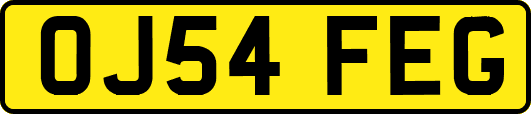 OJ54FEG