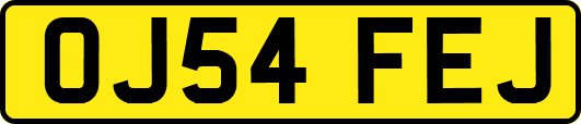 OJ54FEJ