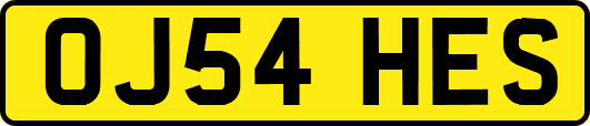 OJ54HES