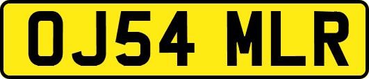 OJ54MLR