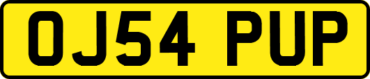 OJ54PUP