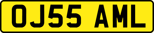 OJ55AML