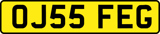 OJ55FEG