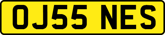 OJ55NES