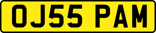 OJ55PAM