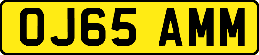 OJ65AMM