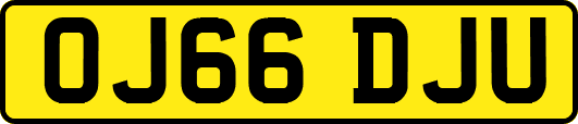 OJ66DJU