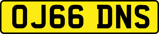 OJ66DNS