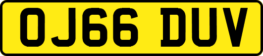 OJ66DUV