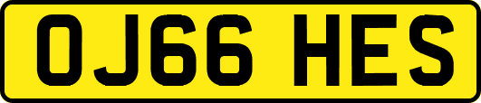 OJ66HES
