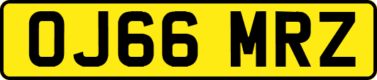 OJ66MRZ