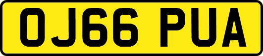 OJ66PUA