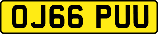 OJ66PUU
