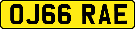OJ66RAE