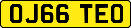OJ66TEO