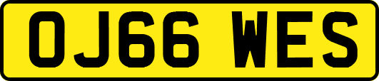 OJ66WES
