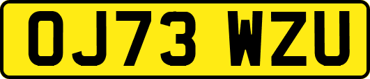 OJ73WZU
