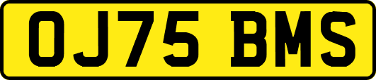 OJ75BMS