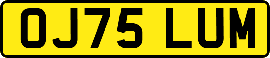 OJ75LUM