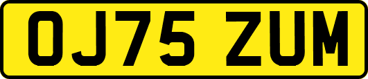 OJ75ZUM