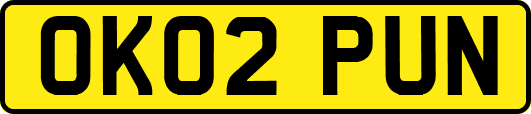 OK02PUN