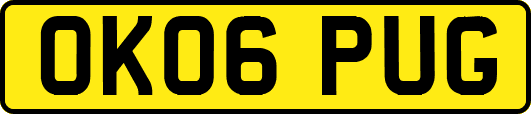 OK06PUG