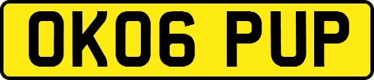 OK06PUP