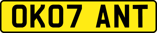 OK07ANT