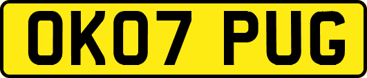 OK07PUG