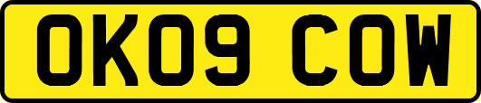 OK09COW