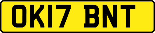 OK17BNT
