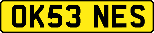 OK53NES