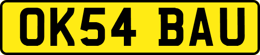 OK54BAU