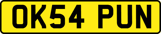OK54PUN