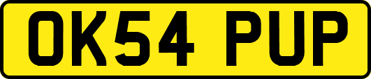 OK54PUP