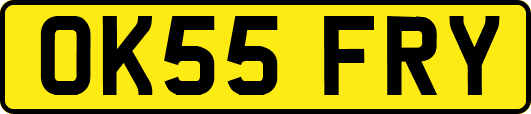 OK55FRY