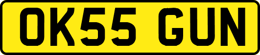 OK55GUN