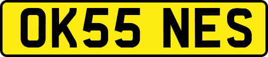 OK55NES