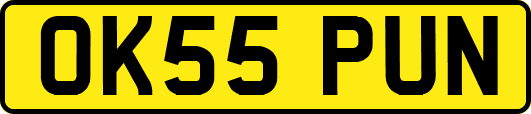 OK55PUN