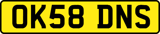 OK58DNS