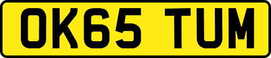 OK65TUM