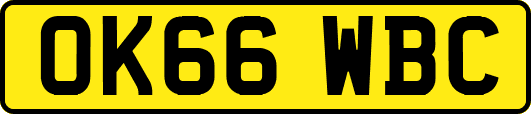 OK66WBC