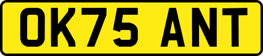 OK75ANT