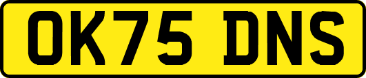OK75DNS