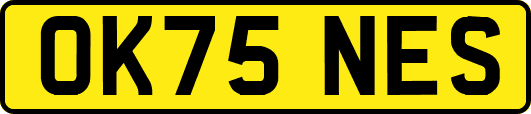 OK75NES