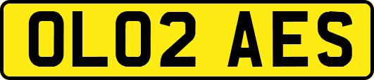 OL02AES