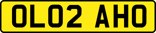 OL02AHO
